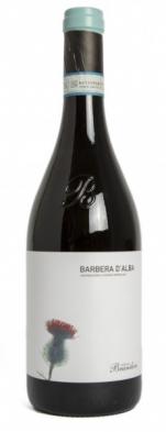 Brandini - Barbera d'Alba 2019